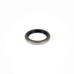P10219 - Oil Seal, .75 x 1.0 x .125